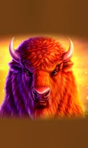 Buffalo 50